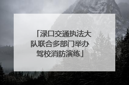 渌口交通执法大队联合多部门举办驾校消防演练