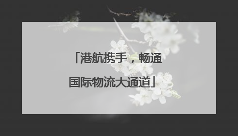 港航携手，畅通国际物流大通道