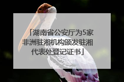 湖南省公安厅为5家非洲驻湘机构颁发驻湘代表处登记证书