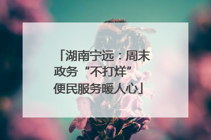 湖南宁远：周末政务“不打烊” 便民服务暖人心