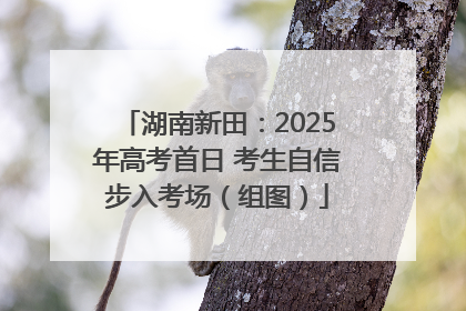 湖南新田：2025年高考首日 考生自信步入考场（组图）