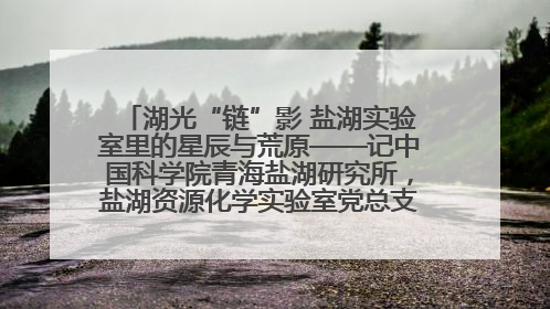 湖光“链”影 盐湖实验室里的星辰与荒原——记中国科学院青海盐湖研究所，盐湖资源化学实验室党总支书记、副主任刘忠