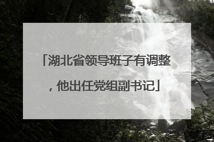 湖北省领导班子有调整，他出任党组副书记
