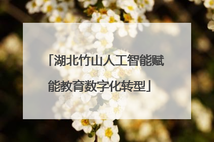 湖北竹山人工智能赋能教育数字化转型