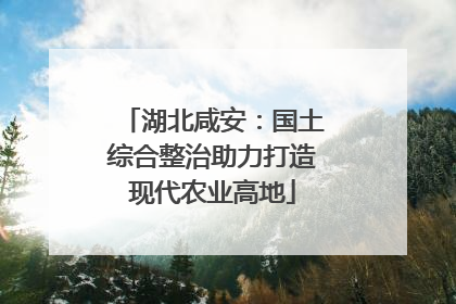 湖北咸安：国土综合整治助力打造现代农业高地