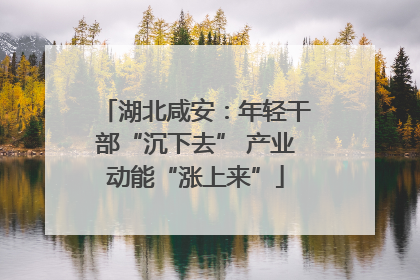 湖北咸安：年轻干部“沉下去” 产业动能“涨上来”