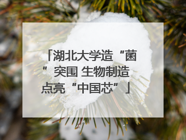 湖北大学造“菌”突围 生物制造点亮“中国芯”