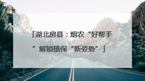 湖北房县：烟农“好帮手”解锁植保“新姿势”