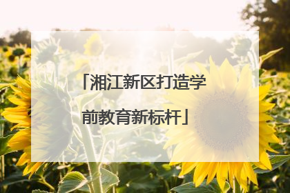 湘江新区打造学前教育新标杆