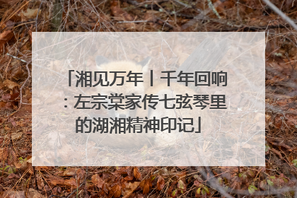 湘见万年丨千年回响：左宗棠家传七弦琴里的湖湘精神印记
