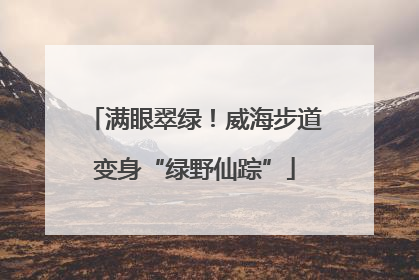 满眼翠绿！威海步道变身“绿野仙踪”