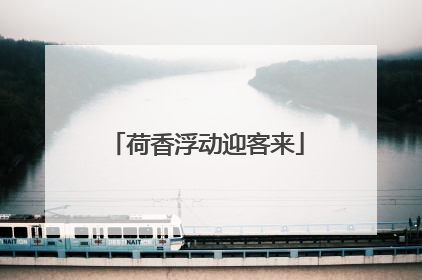 荷香浮动迎客来
