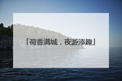 荷香满城，夜游添趣