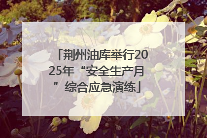 荆州油库举行2025年“安全生产月”综合应急演练