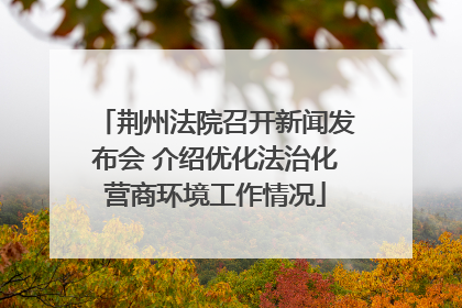 荆州法院召开新闻发布会 介绍优化法治化营商环境工作情况
