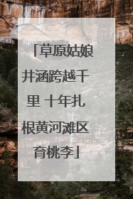 草原姑娘井涵跨越千里 十年扎根黄河滩区育桃李