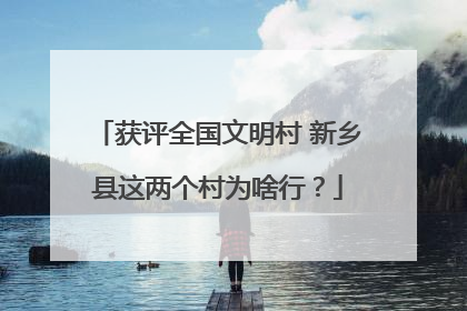 获评全国文明村 新乡县这两个村为啥行？