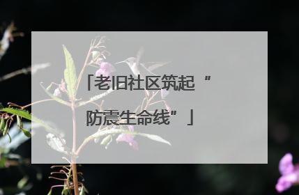 老旧社区筑起“防震生命线”