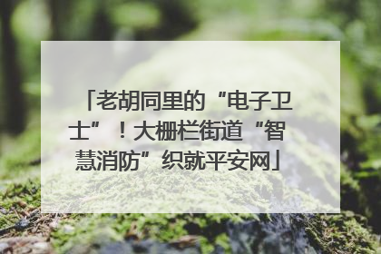 老胡同里的“电子卫士”！大栅栏街道“智慧消防”织就平安网