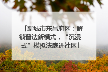 聊城市东昌府区：解锁普法新模式，“沉浸式”模拟法庭进社区