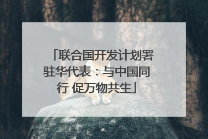 联合国开发计划署驻华代表：与中国同行 促万物共生