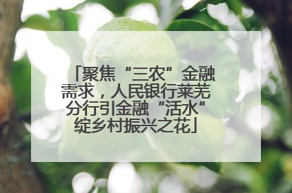 聚焦“三农”金融需求，人民银行莱芜分行引金融“活水”绽乡村振兴之花