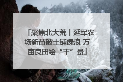 聚焦北大荒丨延军农场新苗破土铺绿浪 万亩良田绘“丰”景
