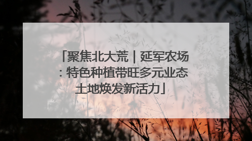 聚焦北大荒｜延军农场：特色种植带旺多元业态 土地焕发新活力