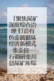 聚焦尾矿深度综合治理 打造有色金属循环经济新模式 张金良一行调研栾川县尾矿库综合治理工作