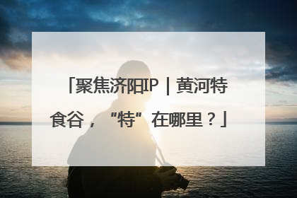 聚焦济阳IP｜黄河特食谷，“特”在哪里？
