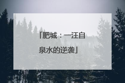 肥城：一汪自泉水的逆袭