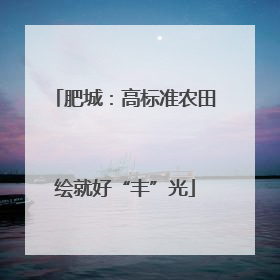 肥城：高标准农田绘就好“丰”光
