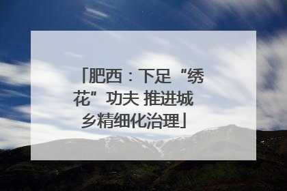 肥西：下足“绣花”功夫 推进城乡精细化治理