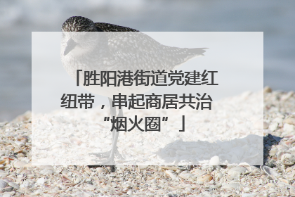 胜阳港街道党建红纽带，串起商居共治 “烟火圈”