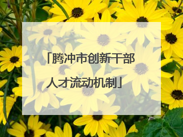 腾冲市创新干部人才流动机制