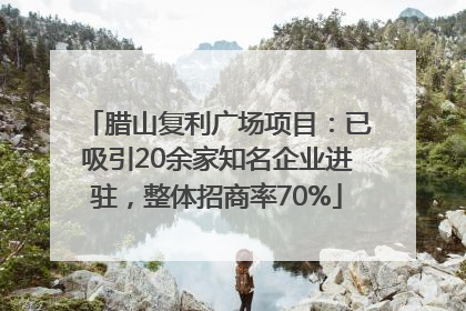 腊山复利广场项目：已吸引20余家知名企业进驻，整体招商率70%