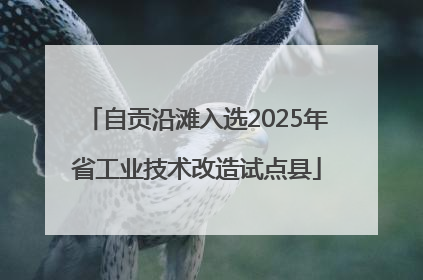 自贡沿滩入选2025年省工业技术改造试点县