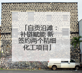 自贡沿滩：补链赋能 新签约两个精细化工项目