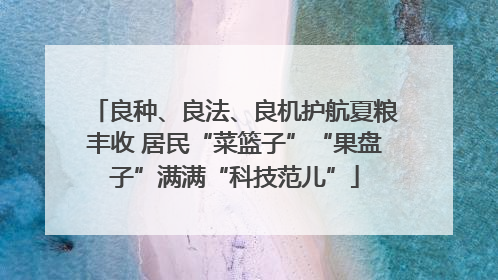 良种、良法、良机护航夏粮丰收 居民“菜篮子”“果盘子”满满“科技范儿”
