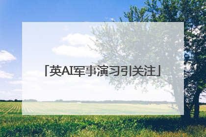 英AI军事演习引关注