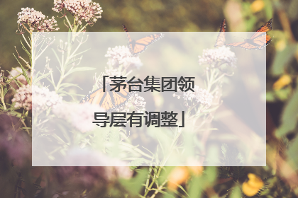 茅台集团领导层有调整