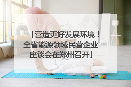 营造更好发展环境！全省能源领域民营企业座谈会在郑州召开