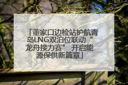 董家口边检站护航青岛LNG双泊位联动“龙舟接力赛” 开启能源保供新篇章