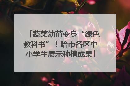 蔬菜幼苗变身“绿色教科书”！哈市各区中小学生展示种植成果