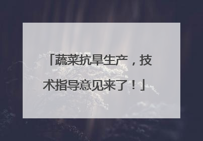蔬菜抗旱生产，技术指导意见来了！