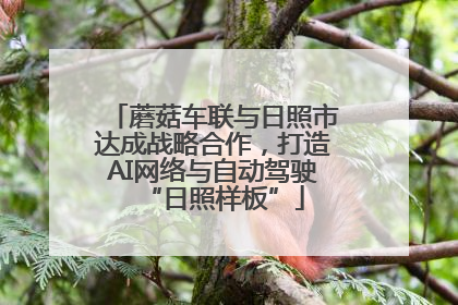 蘑菇车联与日照市达成战略合作，打造AI网络与自动驾驶“日照样板”