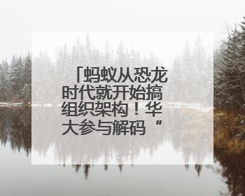 蚂蚁从恐龙时代就开始搞组织架构！华大参与解码“昆虫文明”