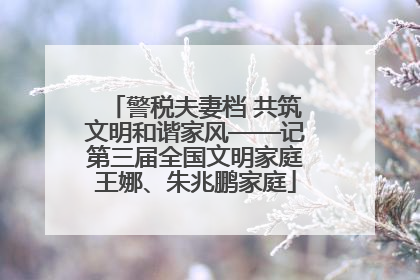 警税夫妻档 共筑文明和谐家风——记第三届全国文明家庭王娜、朱兆鹏家庭