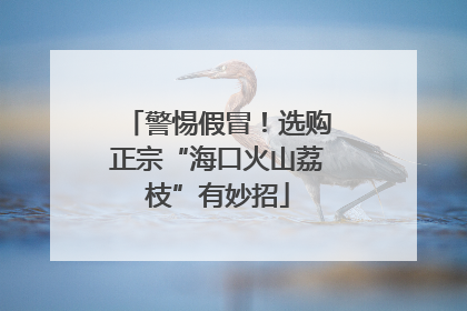 警惕假冒！选购正宗“海口火山荔枝”有妙招