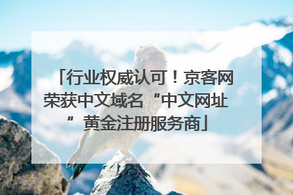 行业权威认可！京客网荣获中文域名“中文网址”黄金注册服务商